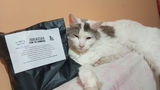 Krisna B. review photo