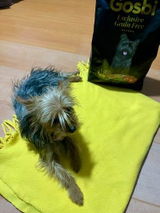 fabiola h. review photo