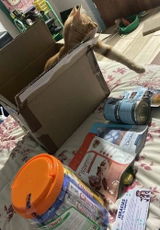 Gabriela P. review photo