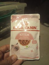 Catalina V. review photo