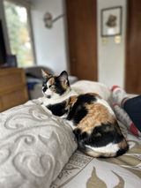 Fabiola review photo