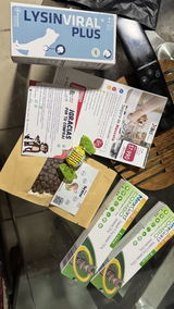 Javiera C.C. review photo