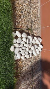 Juan Manuel Jimenez Mendano review photo