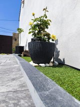 MARIANO C. review photo