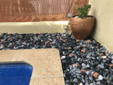 JOSEP V. review photo