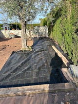 Josep S. review photo