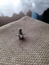 Kiwis review photo