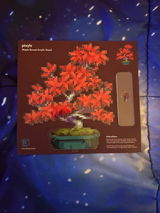 Nova Clement review photo