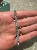 Ari review photo