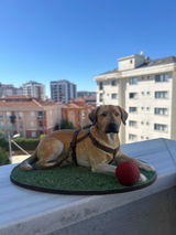 Melike review photo