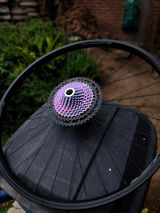 FANNY review photo