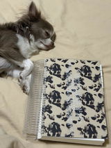 AGENDA CAREY CREMA DIARIA