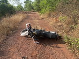 Shonith review photo