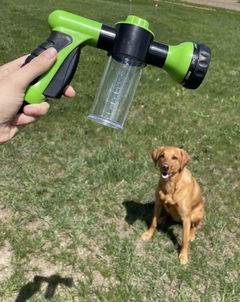 Review picture