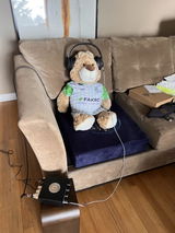 User picture