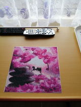Phyllis review photo