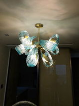 Simona Hearst review photo