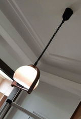 Oscar Thorndike review photo
