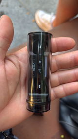 Katharina Da silva linke review photo