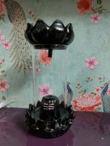 Nilesh Prajapati review photo