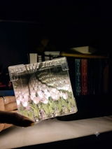 Anum Bhati review photo