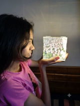 Salma Sindhi Sipahi review photo
