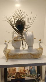 Pranjal Shastri review photo