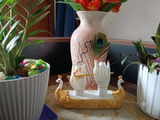 Gaurav Ojha review photo