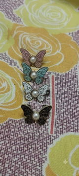 Priyadarshini Iyer review photo