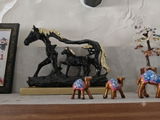 Nikhil Shinde review photo