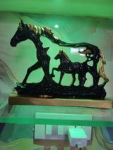 Gauri Agarwal review photo