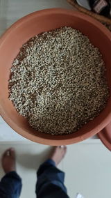 Seetha review photo