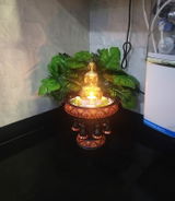 Amazon Customer review photo