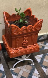 Nagasaritha review photo