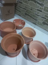 Alpa Meherkar review photo