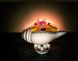 Pushpa.T . review photo