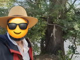 MJ Panama Straw Outback Hat