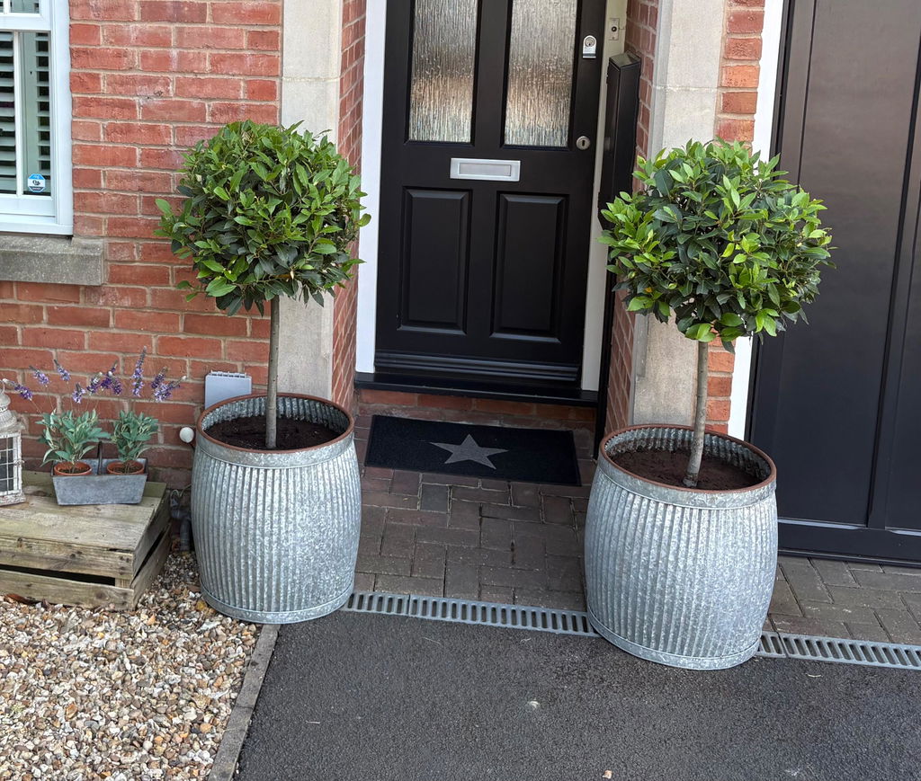 Galvanised Fluted Planter
