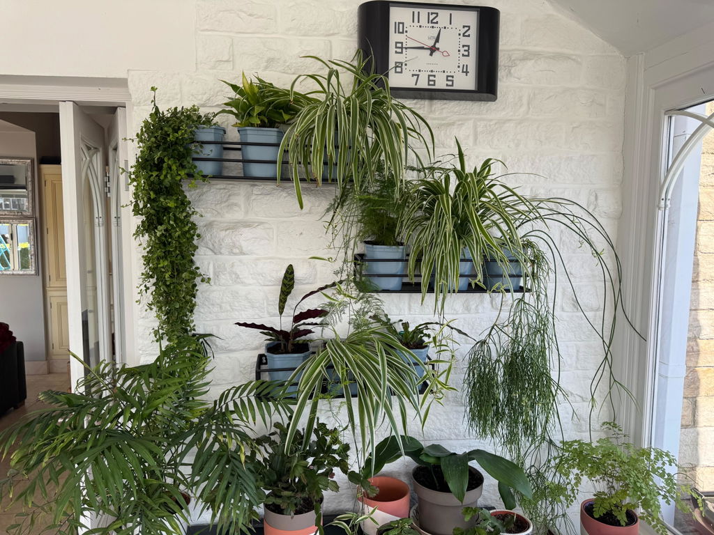 Matt Black Display Shelf