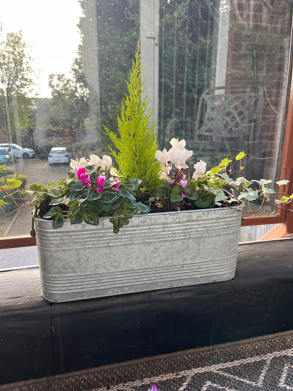 Galvanised Trough Planter with Handles