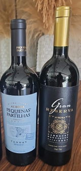 Flavio Wuensche review photo