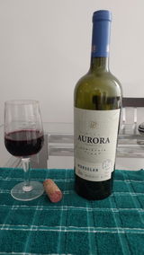 Maria de Lourdes Ribeiro review photo