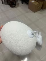 Jason Roger review photo