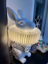 Hilary Moll review photo