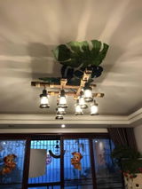 Baron Patrick review photo