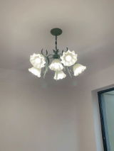 Beverly Raman review photo