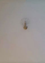Lauren Cowper review photo