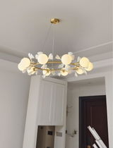 Egbert Tuttle review photo