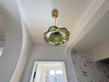 Leo Priestley review photo