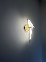Donald Moll review photo